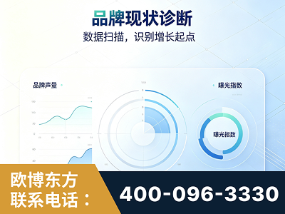 南充-品牌现状诊断